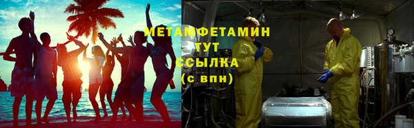крисы Мегион