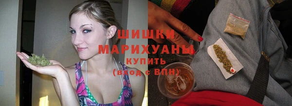 гидра Михайловск