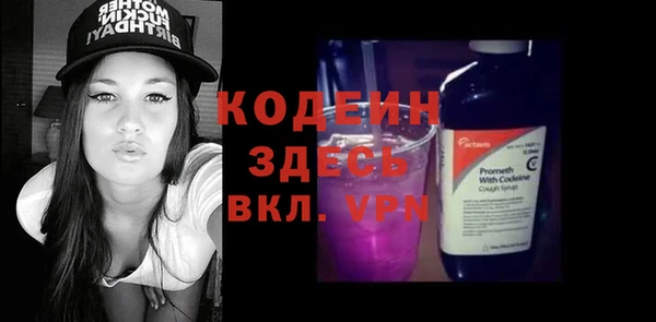 крисы Мегион