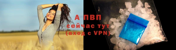 гидра Михайловск