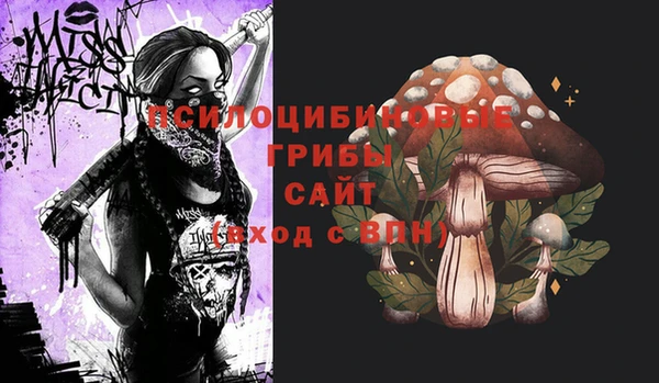 ALPHA-PVP Гусев