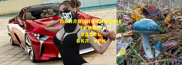 стаф Михайлов