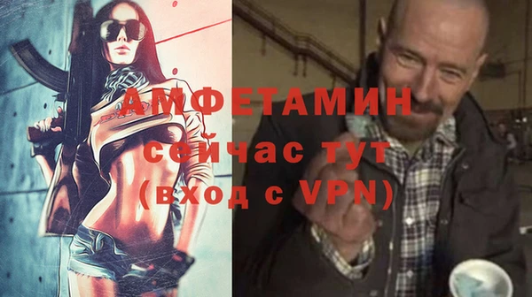 крисы Мегион