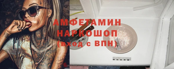 крисы Мегион