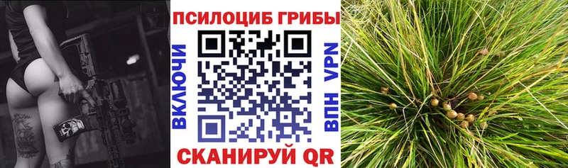 Псилоцибиновые грибы Psilocybe  Мегион 