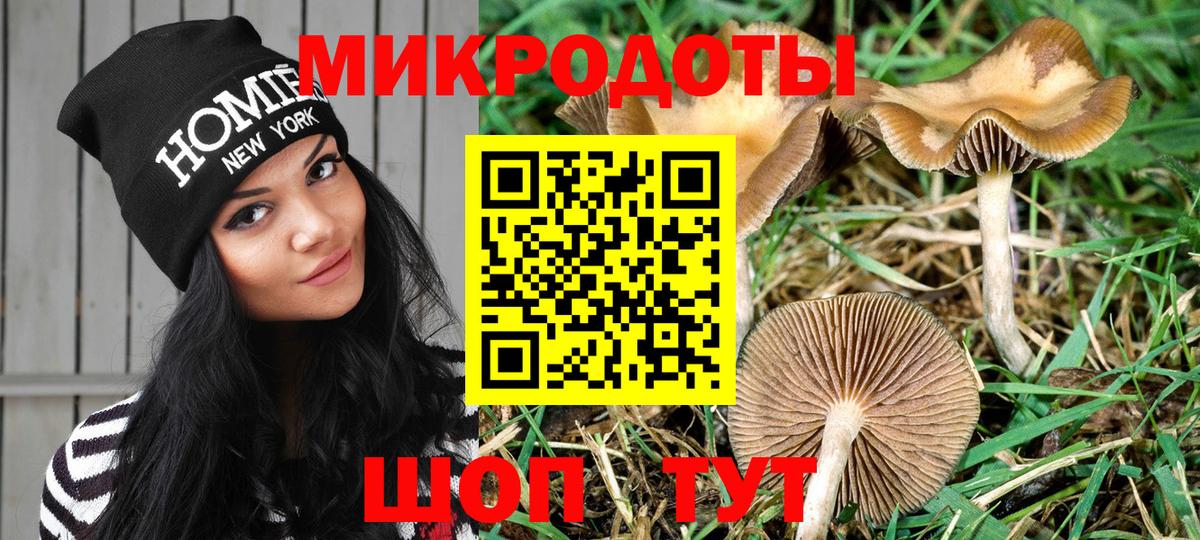 Галлюциногенные грибы Psilocybe  Вход с VPN  Мегион 
